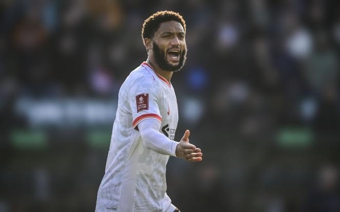 金牌来的 金牌来的